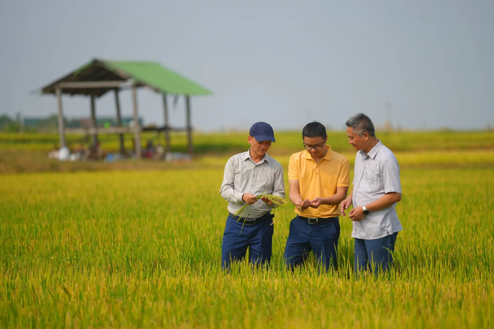 CÔNG TY TNHH THƯƠNG MẠI VÀ DỊCH VỤ PHAN GIA – KẾT NỐI GIÁ TRỊ, KIẾN TẠO CHUỖI LIÊN KẾT BỀN VỮNG