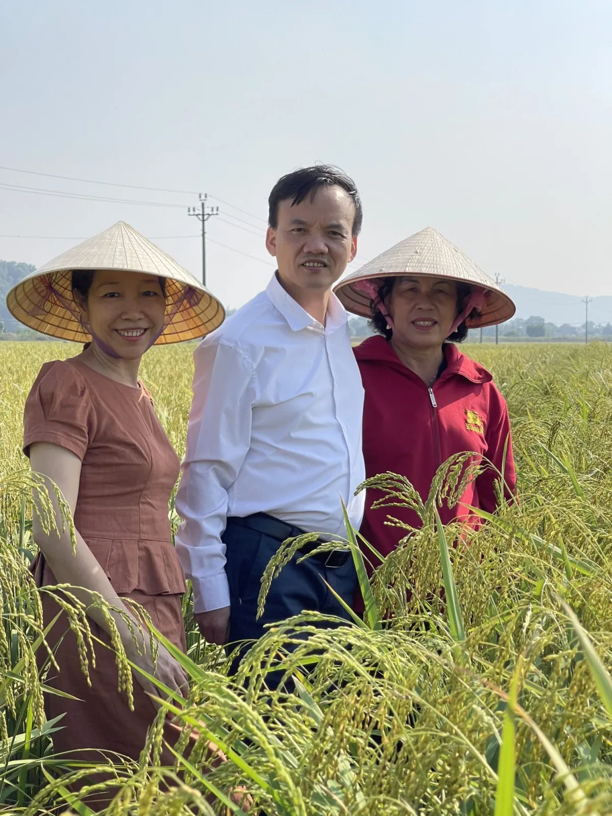 PHAN GIA – HÀNH TRÌNH XÂY DỰNG UY TÍN VÀ KHẲNG ĐỊNH GIÁ TRỊ TRONG LĨNH VỰC LÚA GẠO