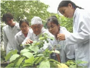 Một giáo sư hàng đầu về cây thuốc ở Việt Nam