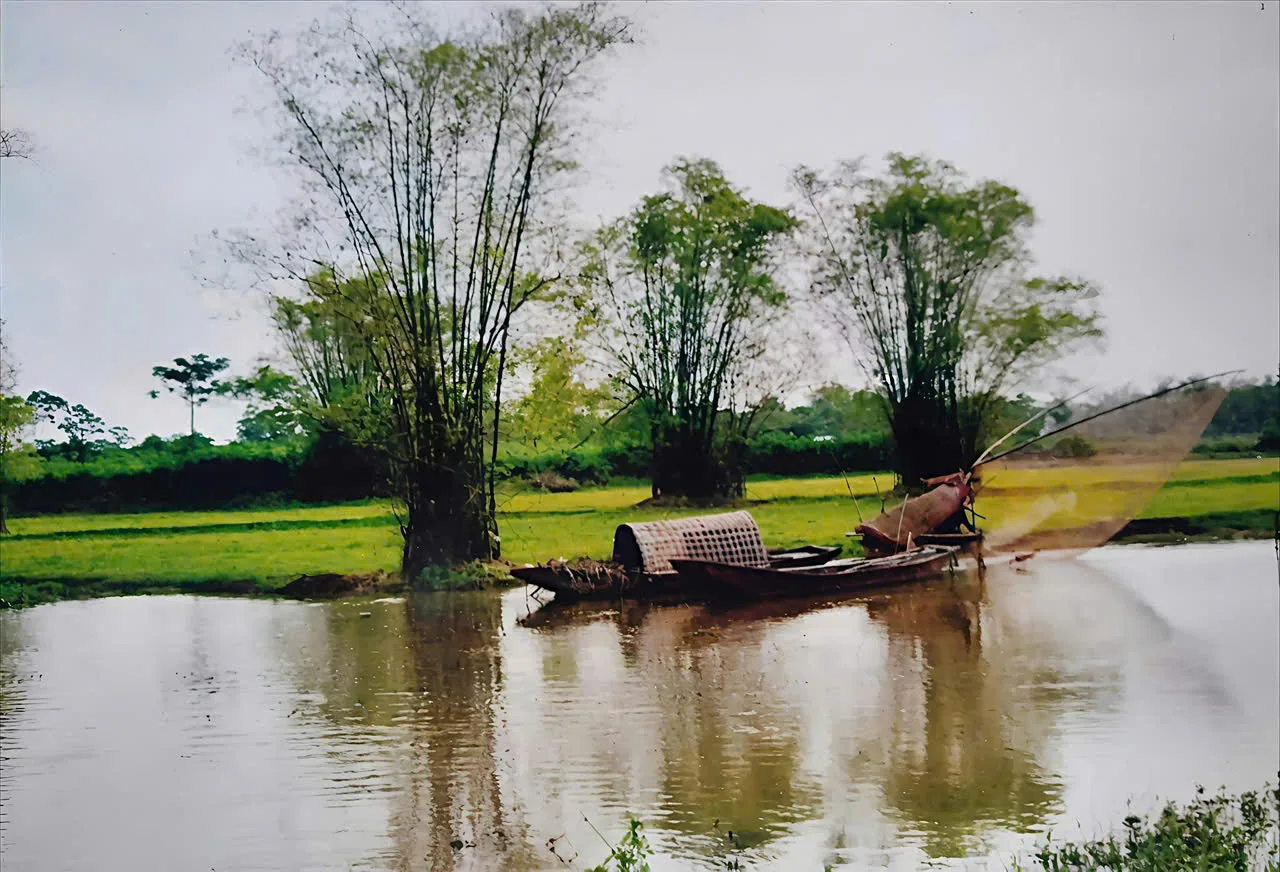 Náo nức gọi hồn quê .